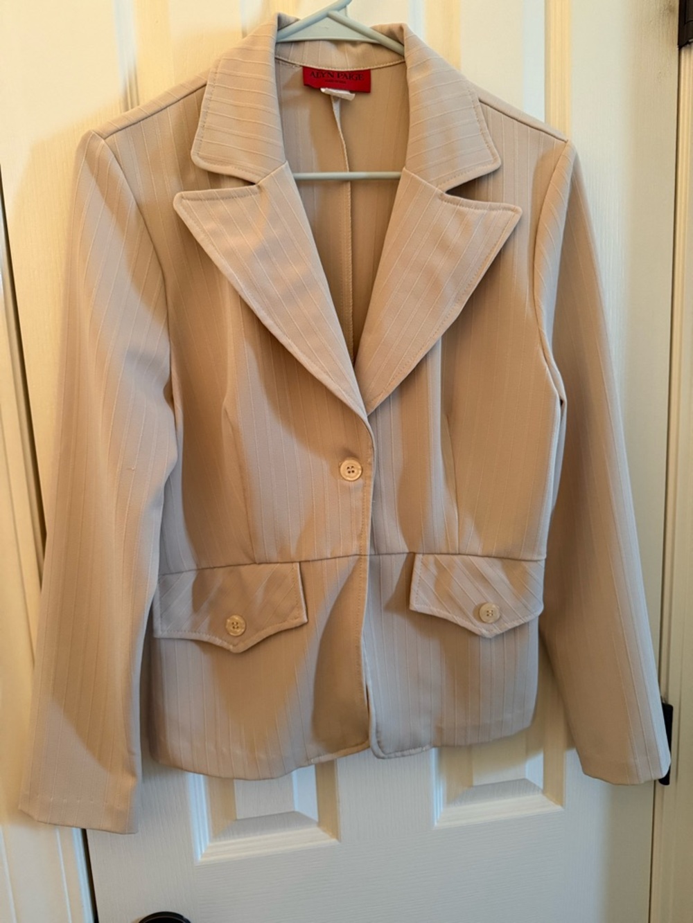 Alyn Paige Light Beige Pinstripe Tailored Blazer